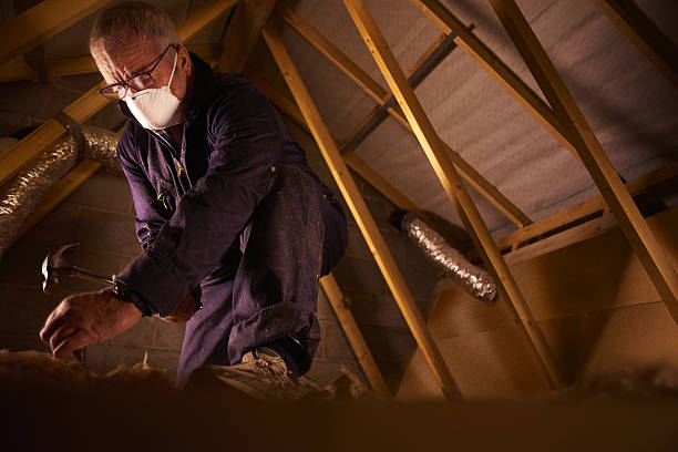Best Eco-Friendly Insulation in Archbold, OH